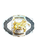 Load image into Gallery viewer, Buckle- B53 Bull Rider Gold&amp;Silver
